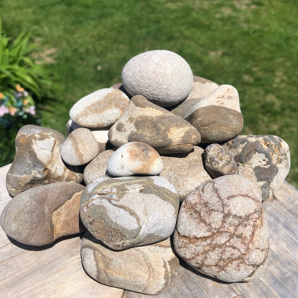 ⭐️Lot of 16⭐️Natural Sea Stones Rocks Garden Aquarium Plants Home Decor
